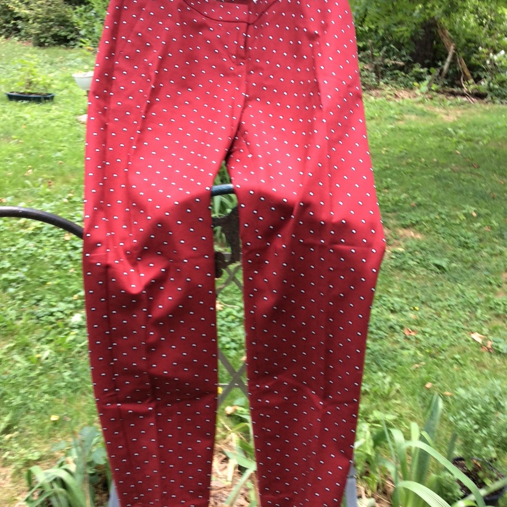 Womens pants columnist Express